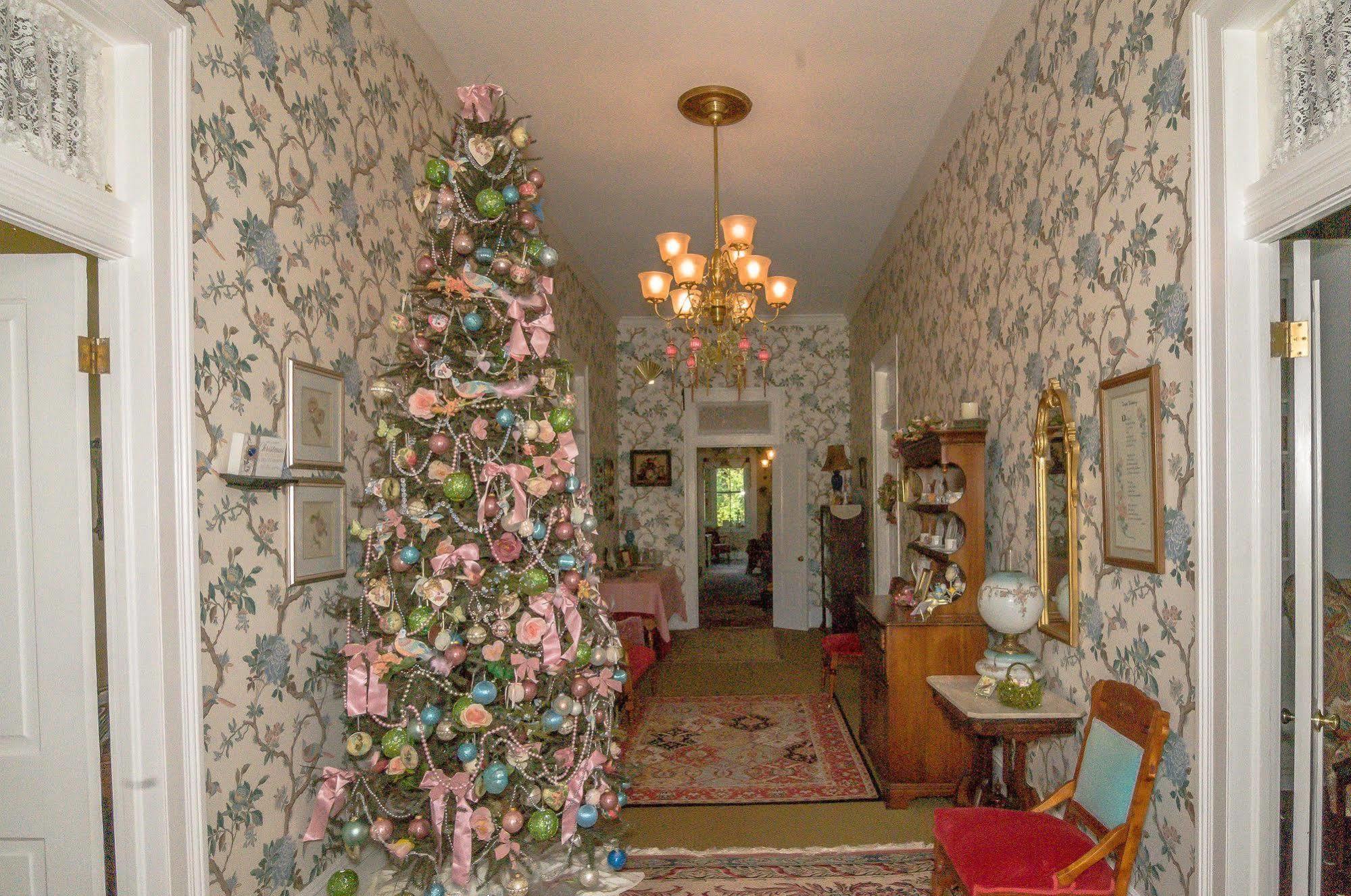 Holly House Of Hamilton Bed and Breakfast Eksteriør billede